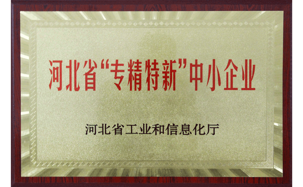 乐动网站_乐动（中国）股份被评为省级“专精特新”中小企业